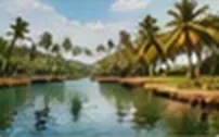 Backwaters lined with palm trees